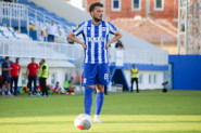 Adem Ljajić